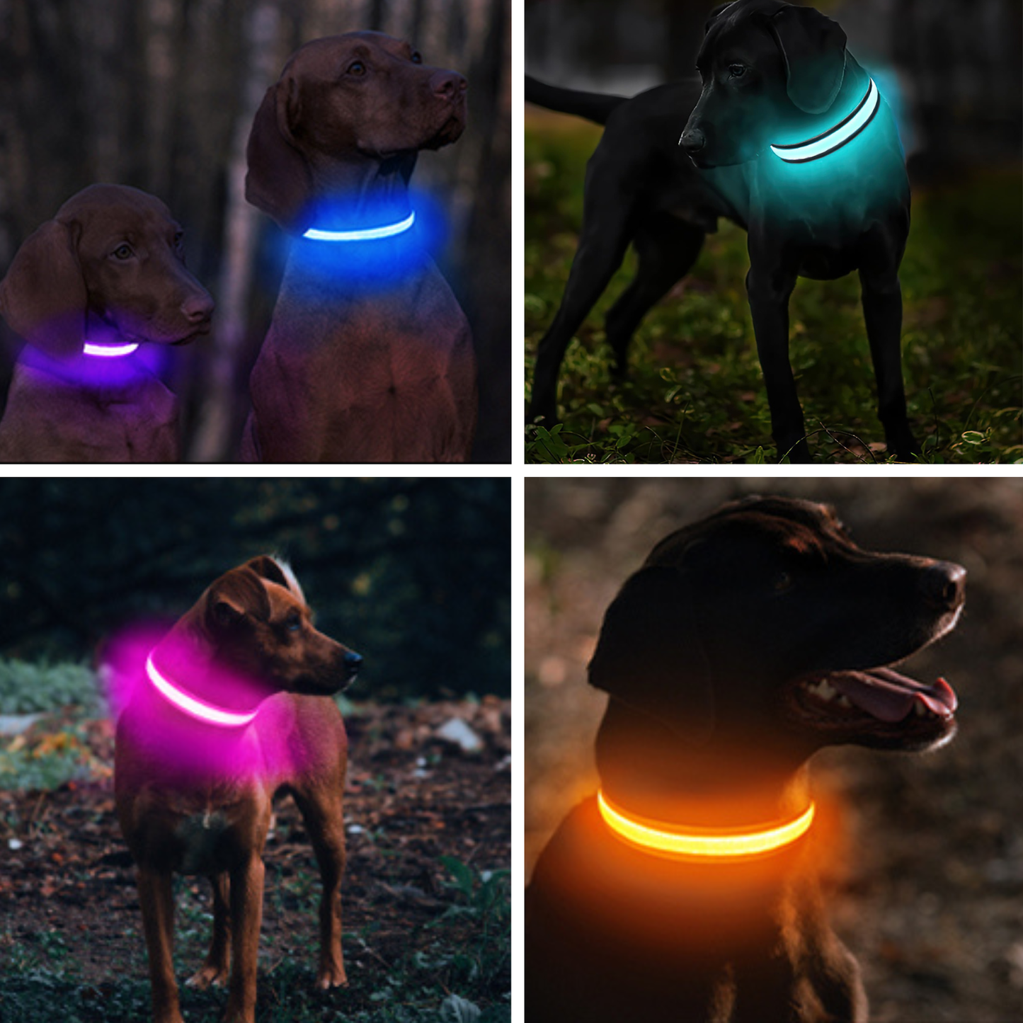 GlowPup™