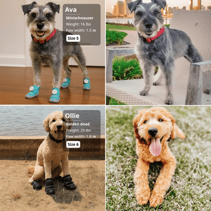 PawShield Boots