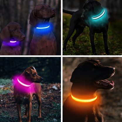 GlowPup™