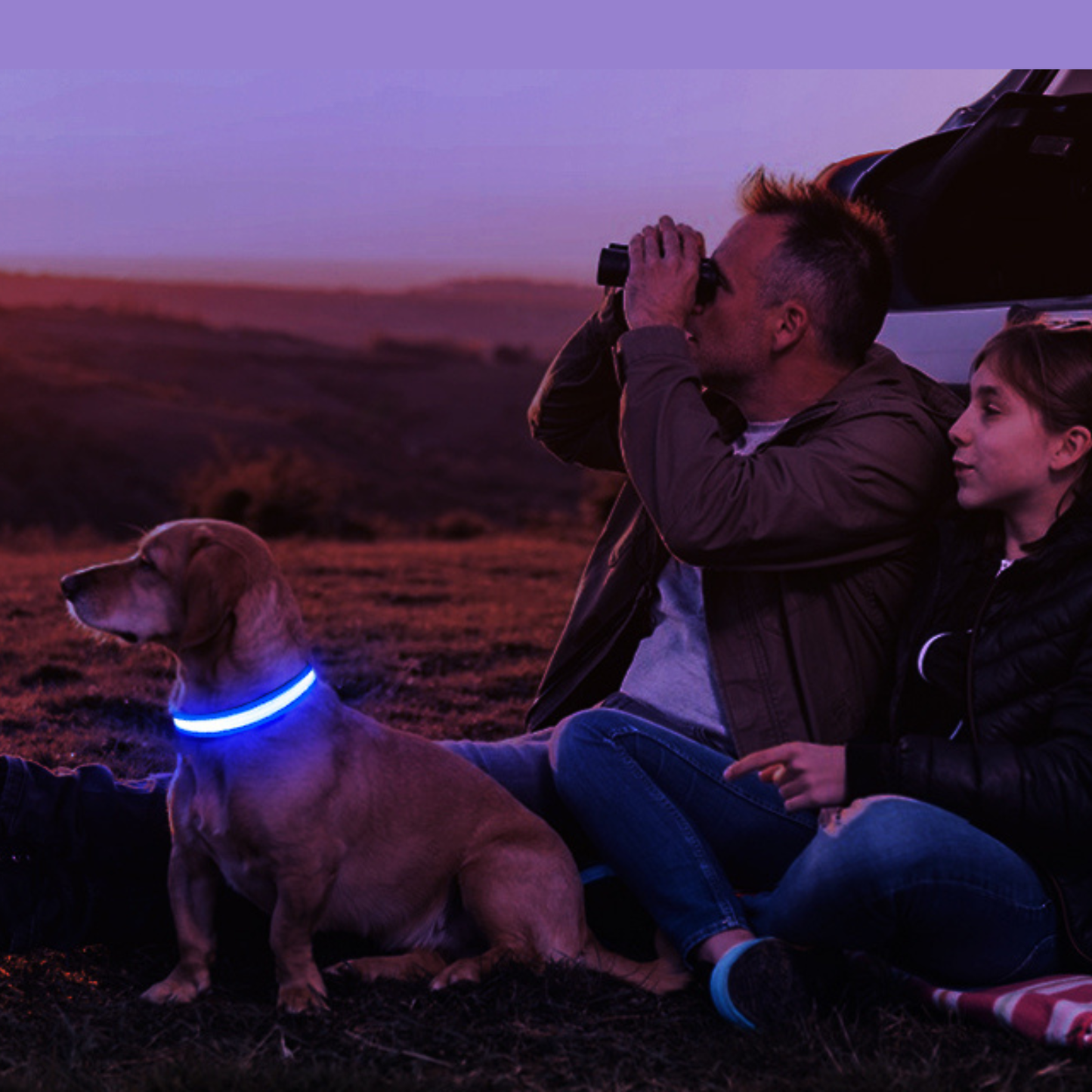 GlowPup™